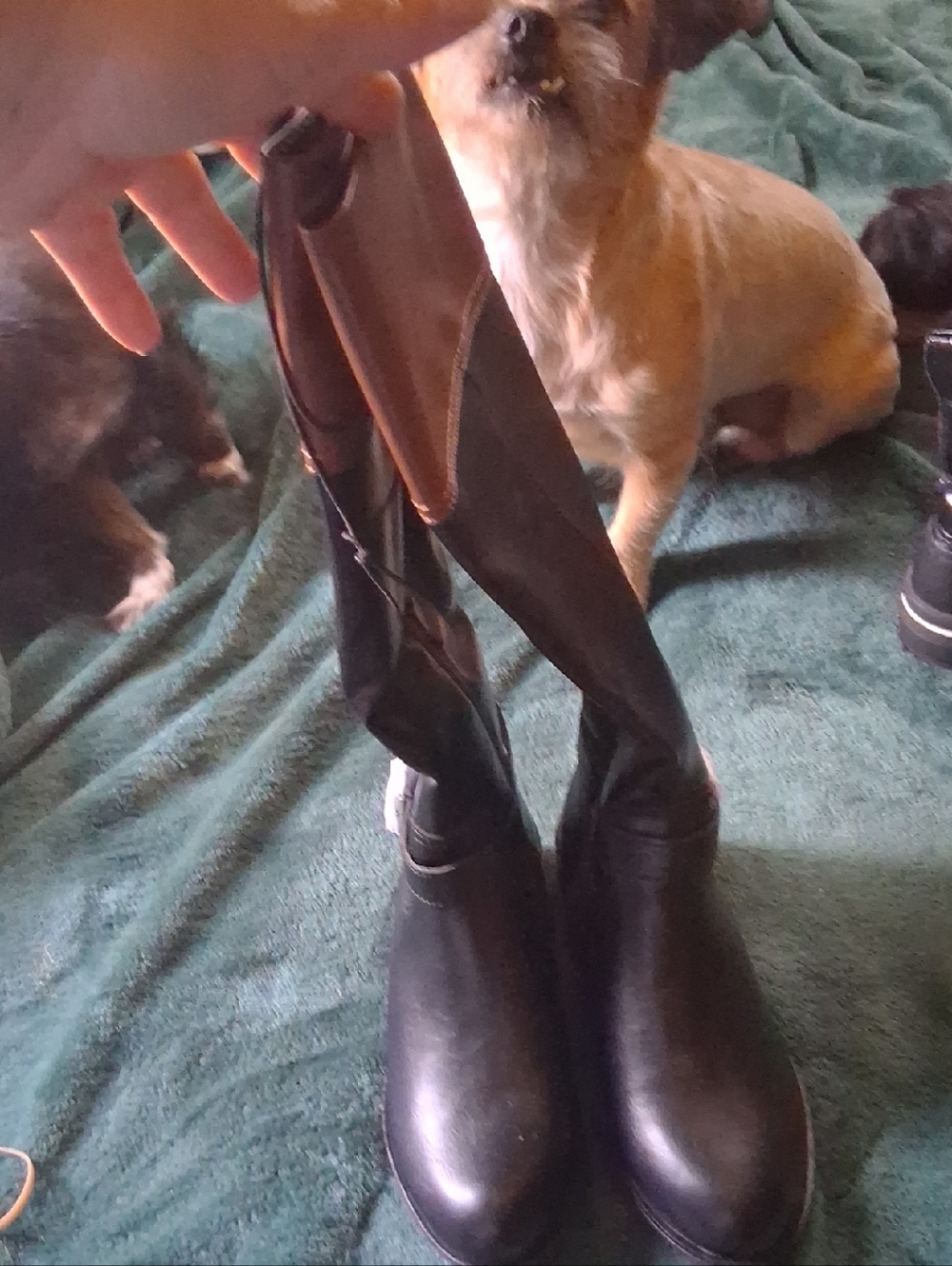 St. John's Bay Black Tall Heeled Boots